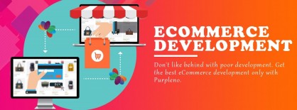 Best E-commerce Website Designing Company In Delhi